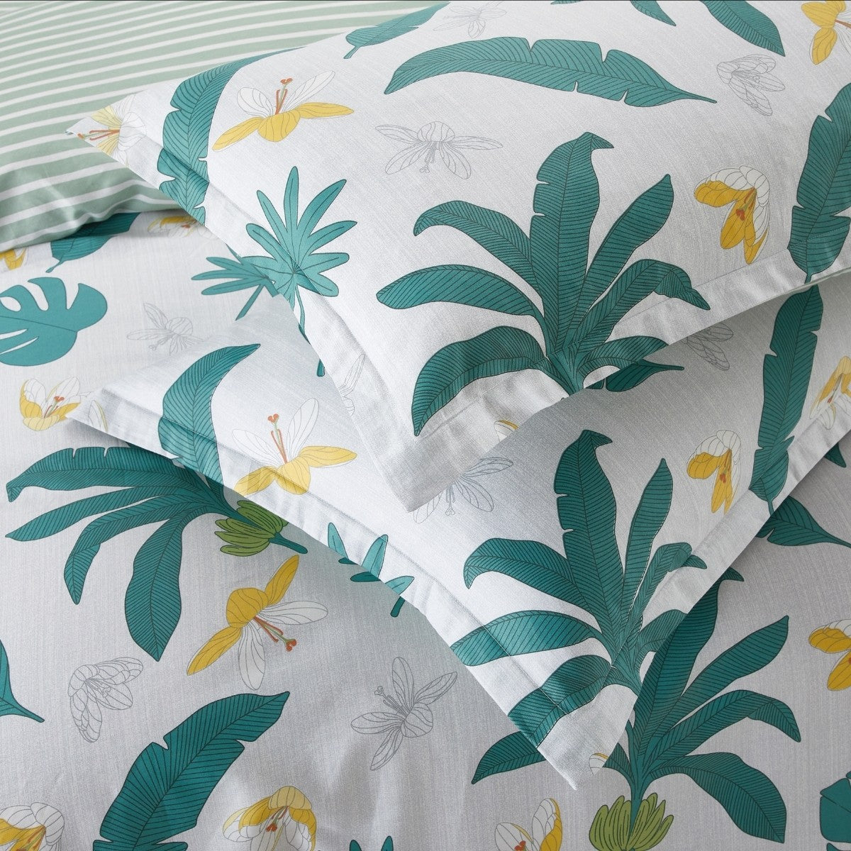 Oasia Cotton Sheet