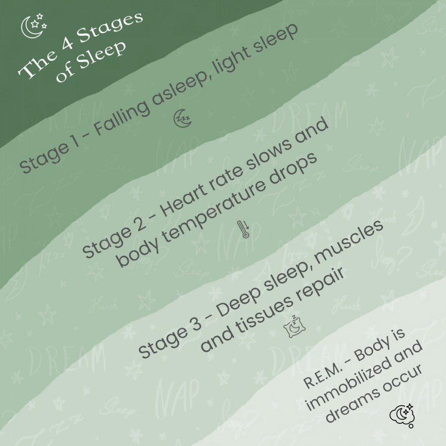 Sleep 101: The 4 Stages Of Sleep