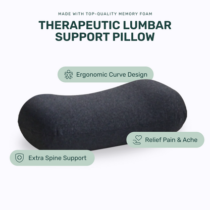 Back Rest Pillow (Black)