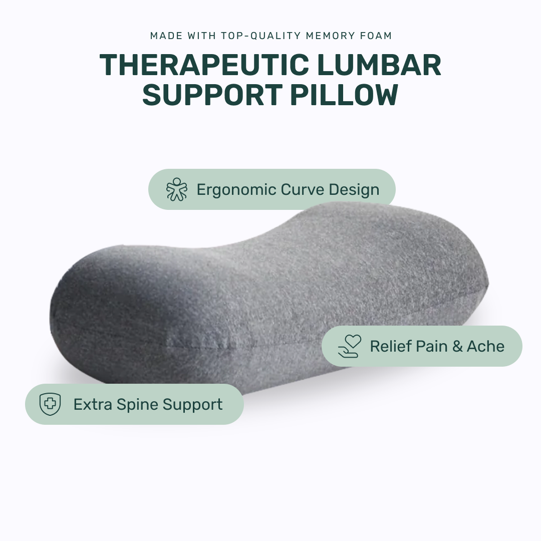 Back Rest Pillow (Grey)