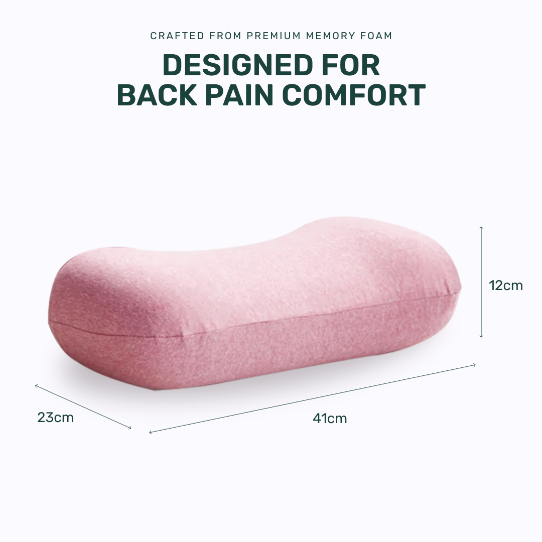 Back Rest Pillow (Pink)