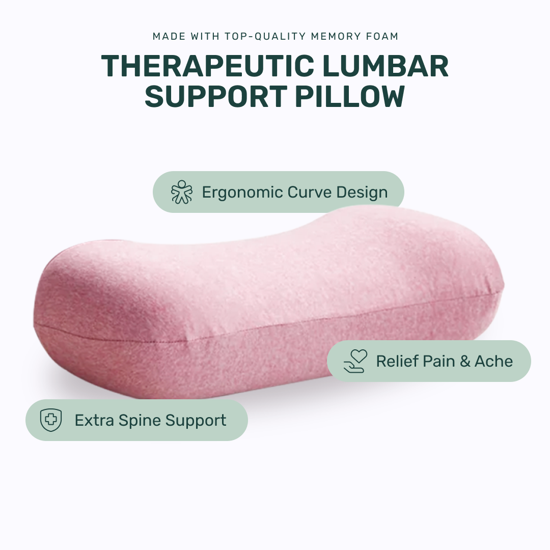 Back Rest Pillow (Pink)