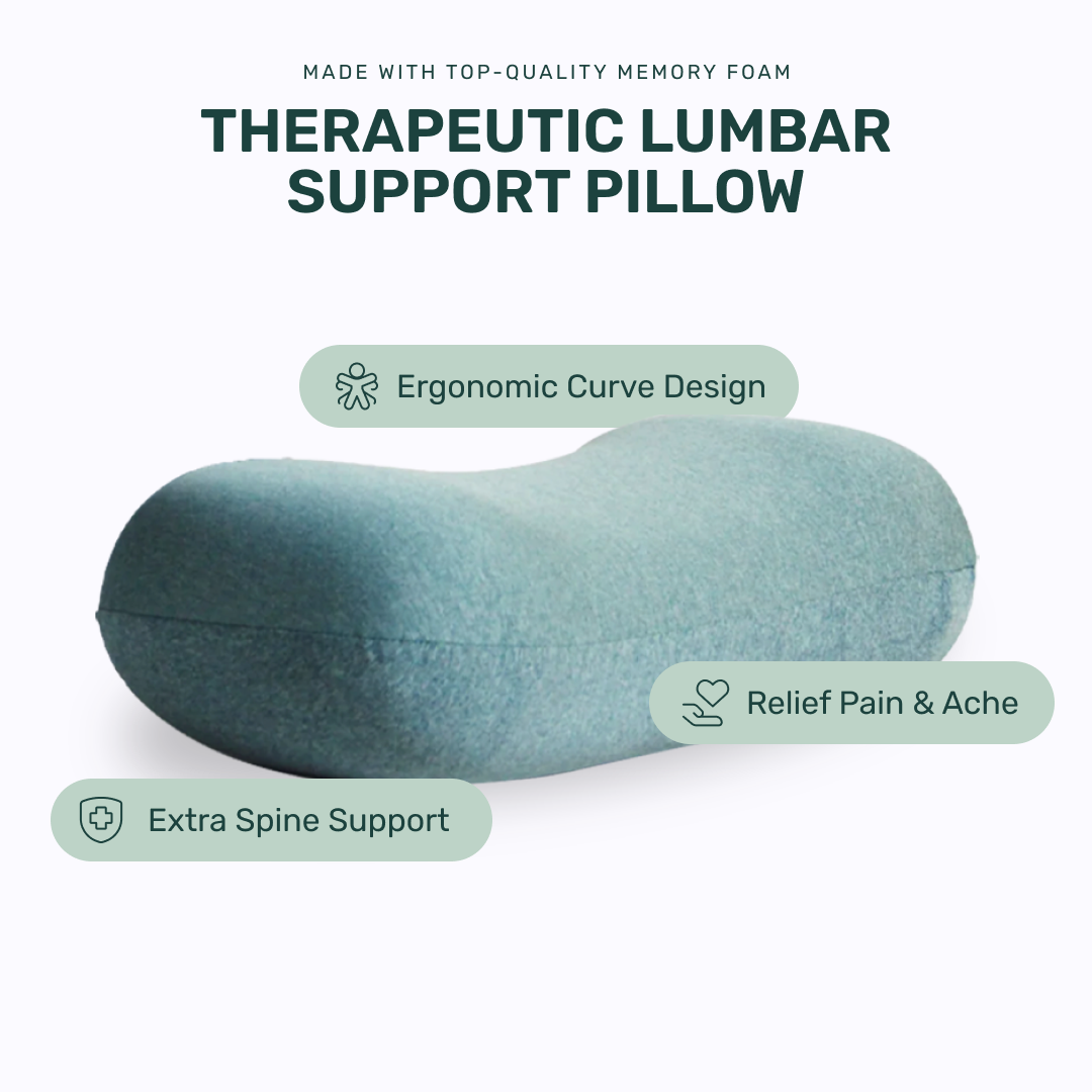 Back Rest Pillow (Teal)