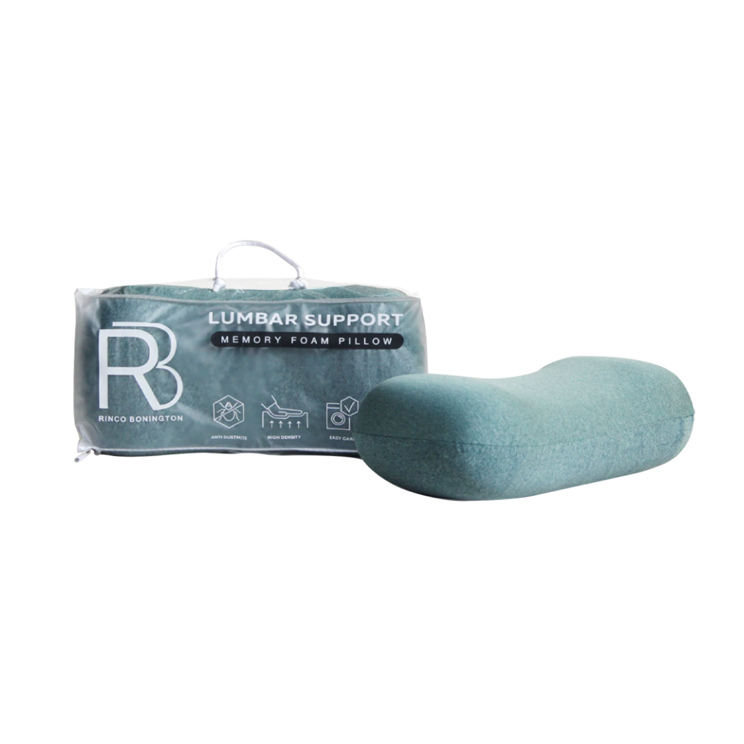 Back Rest Pillow (Teal)