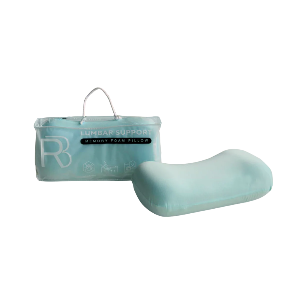 Back Rest Pillow (Turquoise)