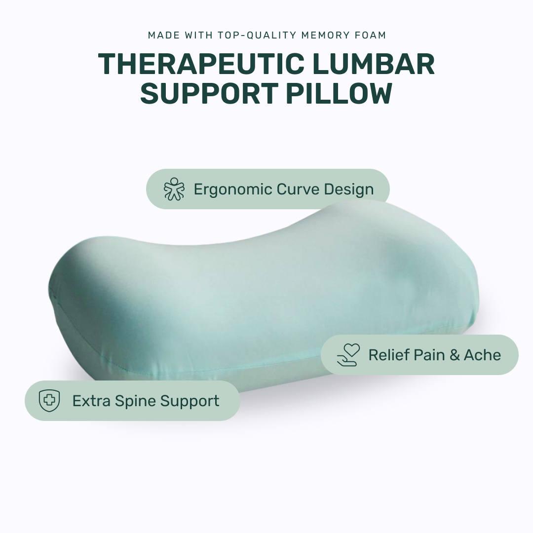 Back Rest Pillow (Turquoise)