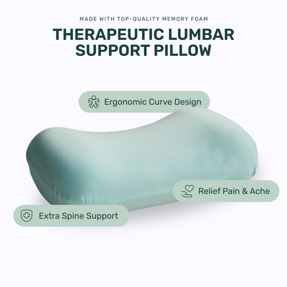 Back Rest Pillow (Turquoise)